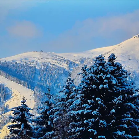 Stabler - By Alpen Zell am See