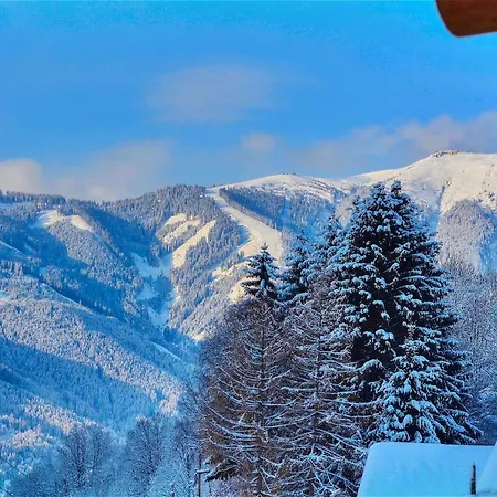 Stabler - By Alpen 젤암제